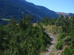 Sortida Camí de Rocafort (F) @ Ctra. de Fontaneda | La Seu d'Urgell | Catalunya | Espanya