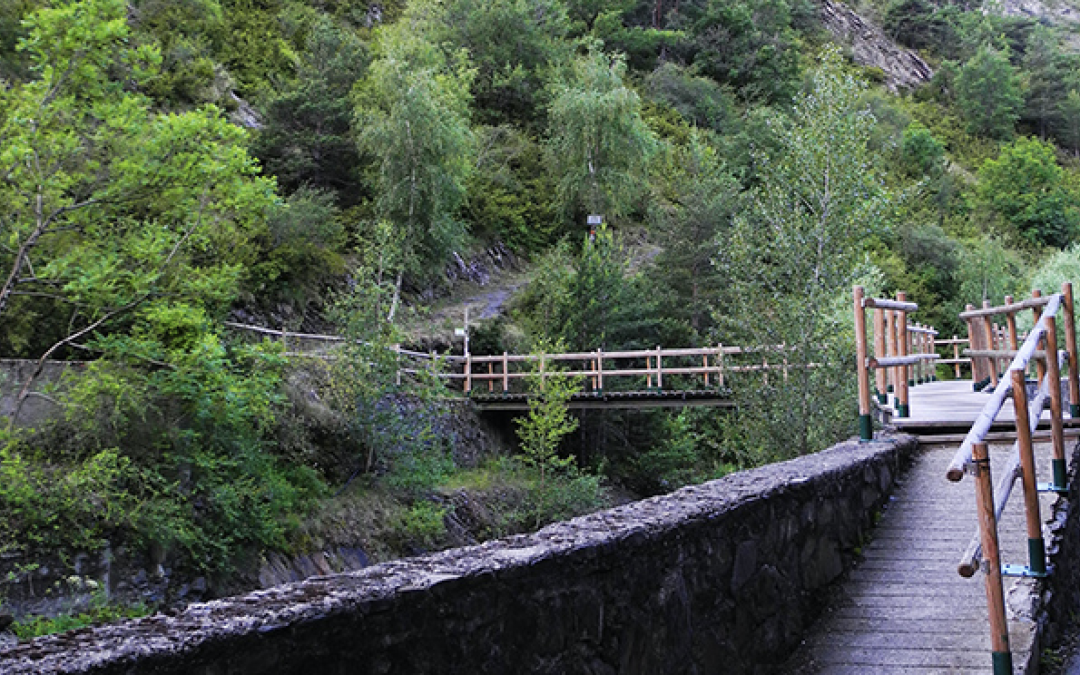 Cami de Rocafort