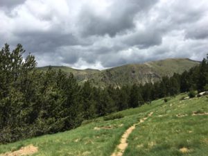 Sortida Bosc del Campeà (M+) @ Cortals d'Encamp | La Seu d'Urgell | Catalunya | Espanya