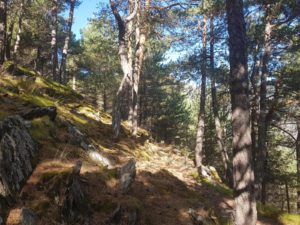Sortida Camí de Canólic (M+) @ Aixovall (al costat de la ITV) | La Seu d'Urgell | Catalunya | Espanya